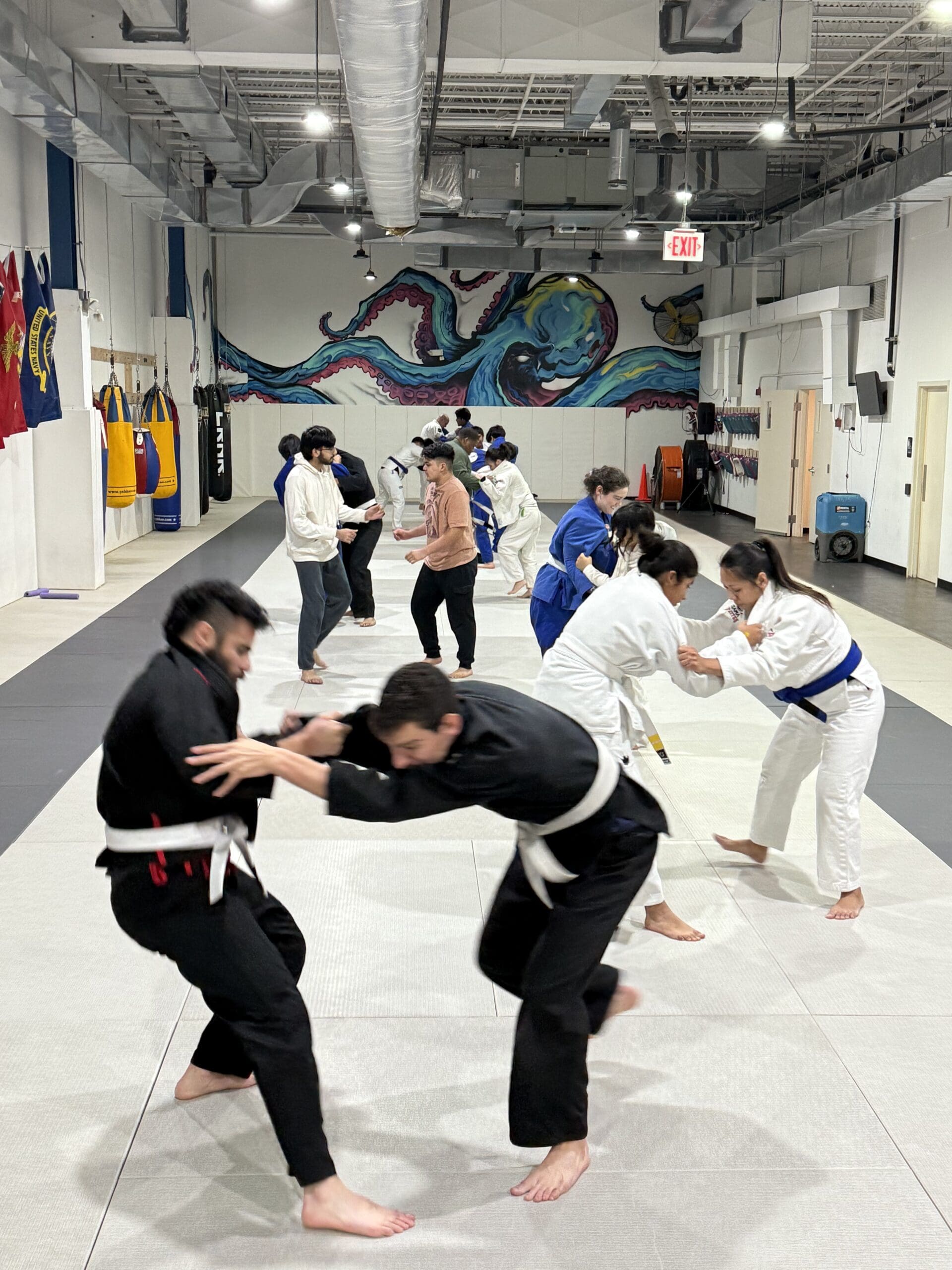 Adult Brazilian Jiu-Jitsu Classes Near Me in Silver Spring | The Compound Fight House